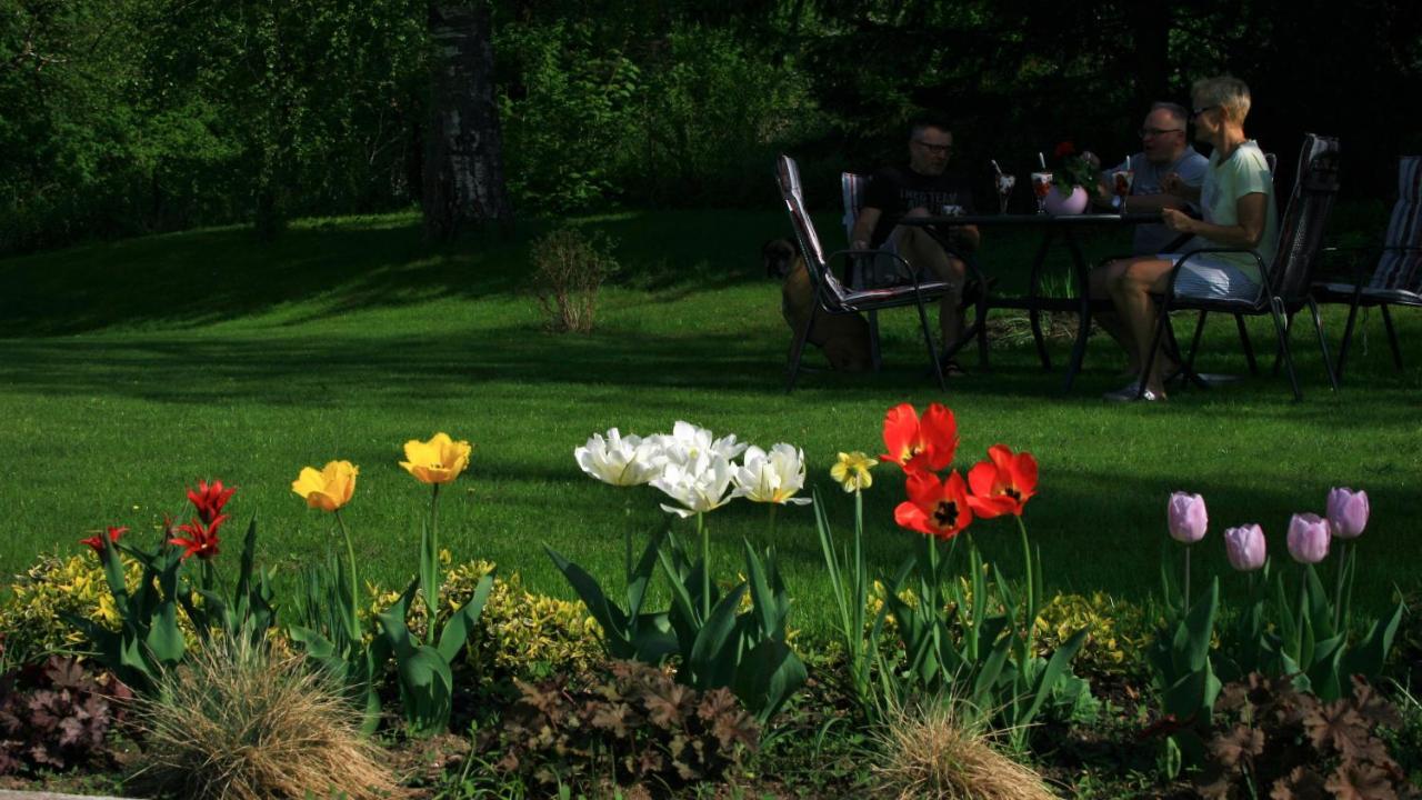 Zielone Okiennice Milki Bagian luar foto