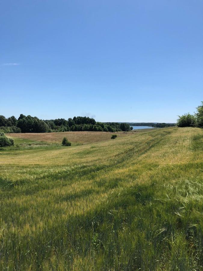 Zielone Okiennice Milki Bagian luar foto